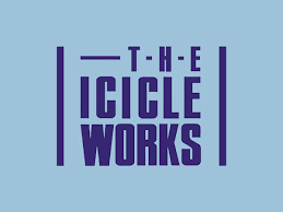 Icicle Works Acoustic